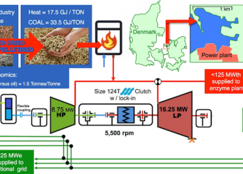 Phasing out coal in Denmark via bioenergy-based CHP